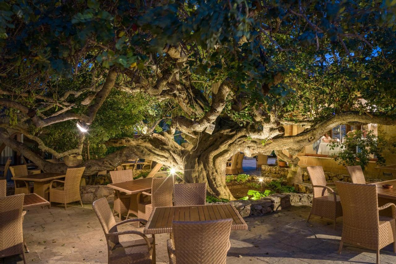 Hotel Ta' Cenc & Spa Sannat Exterior foto The Banyan Tree at the Four Seasons Resort